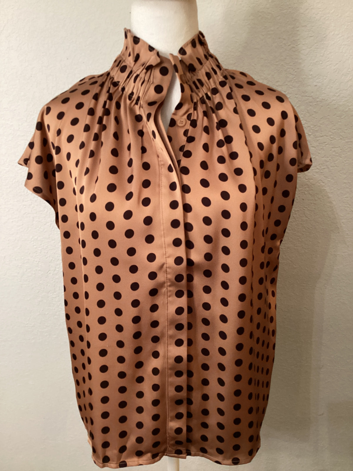 Polka and Poise Top