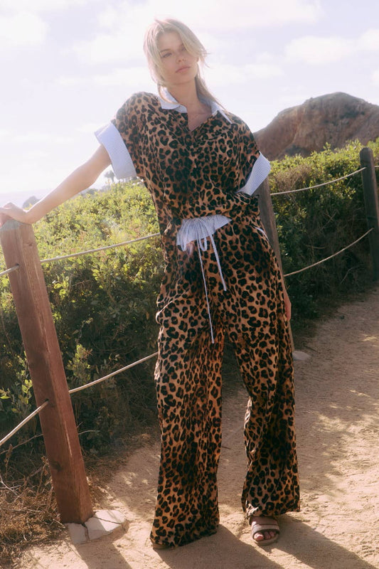 Leopard with Blue Casual Pant Set