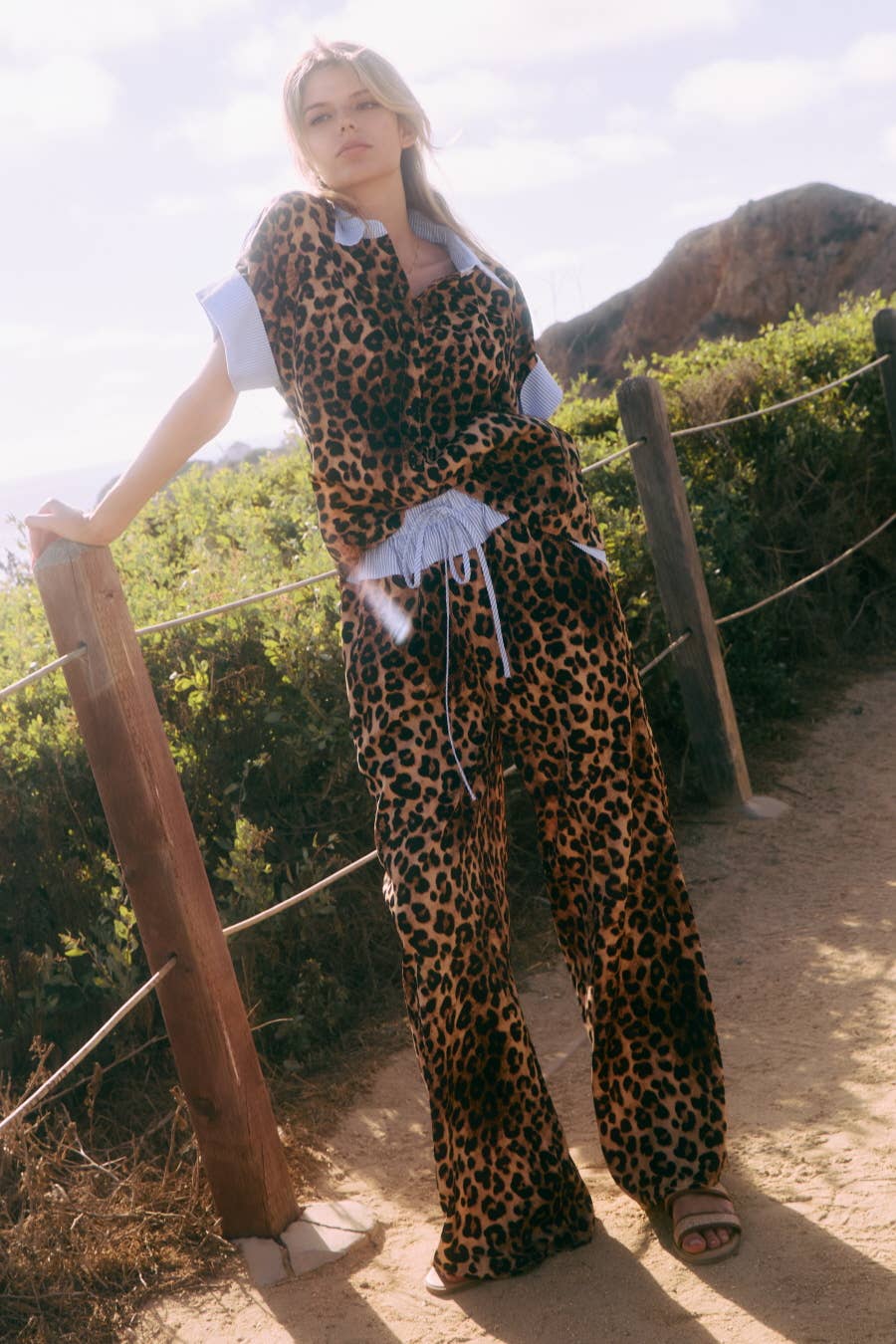 Leopard with Blue Casual Pant Set